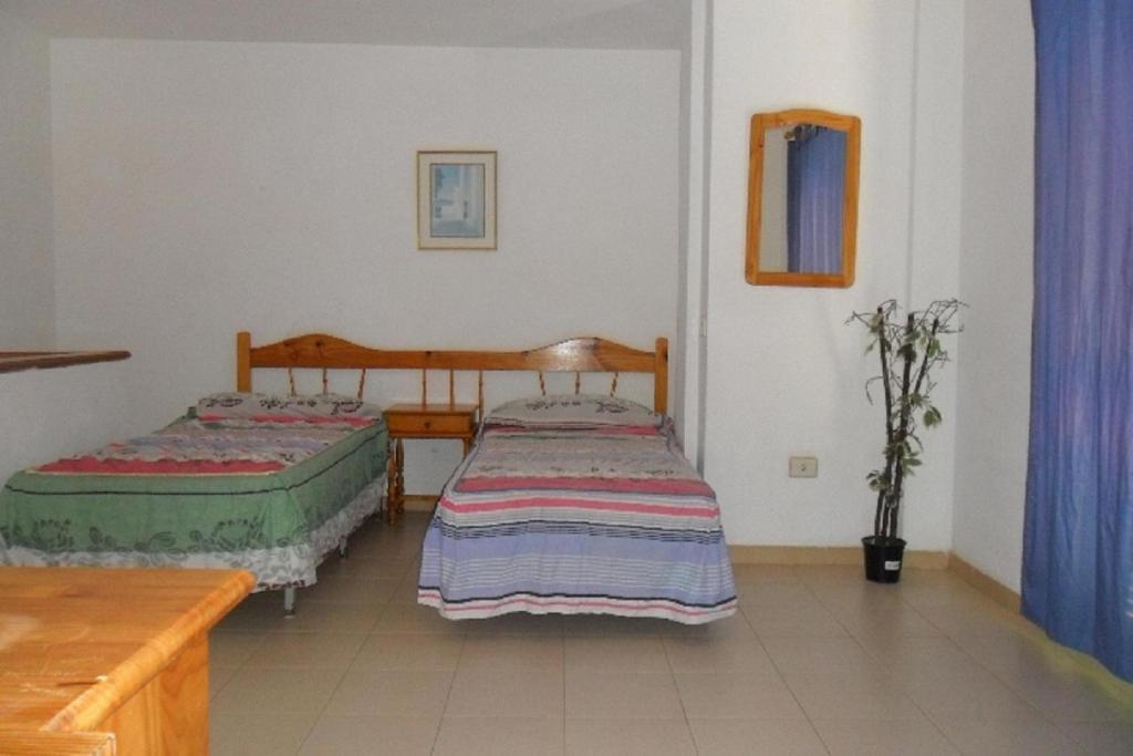 Apartamentos Alondras Park Costa Del Silencio Bagian luar foto